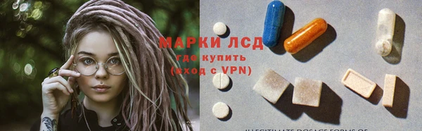 гашик Нефтекумск
