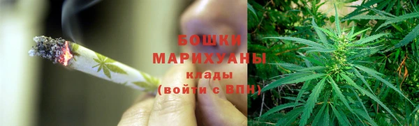 гашик Нефтекумск