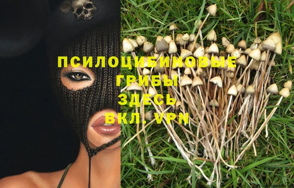 СК Надым