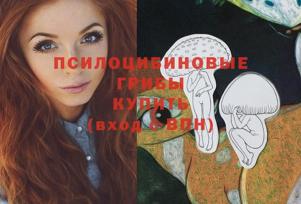 гашик Нефтекумск