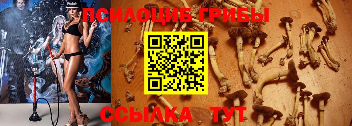 Галлюциногенные грибы мицелий  Вход с VPN  Галлюциногенные грибы Magic Shrooms  купить  сайты  Ртищево 