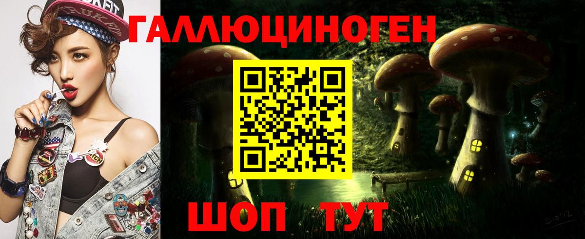 Псилоцибиновые грибы Psilocybe Ртищево